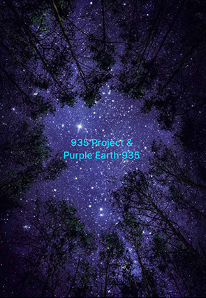 6.935 Project & Purple Earth 935